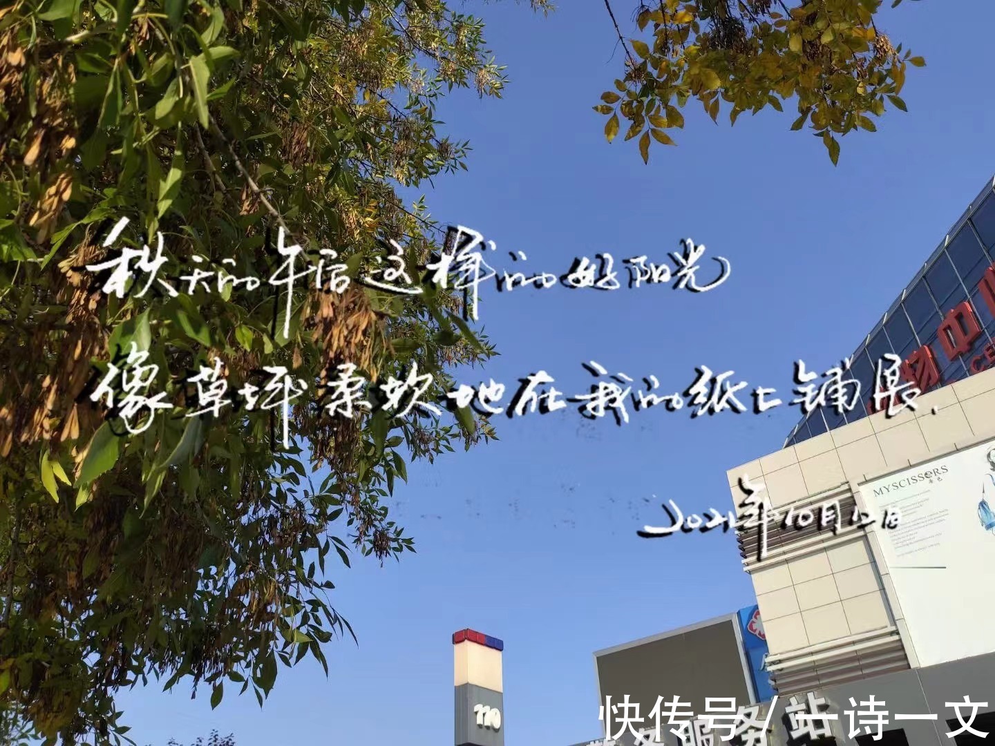 为你写诗$为你写诗,以你为题,将温柔的爱意都赠予你