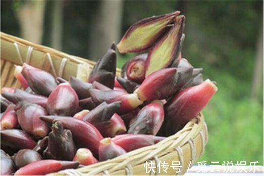 野菜|立秋后,咳嗽感冒不间断,莫慌!常食此野菜,咳嗽不咳,治感冒