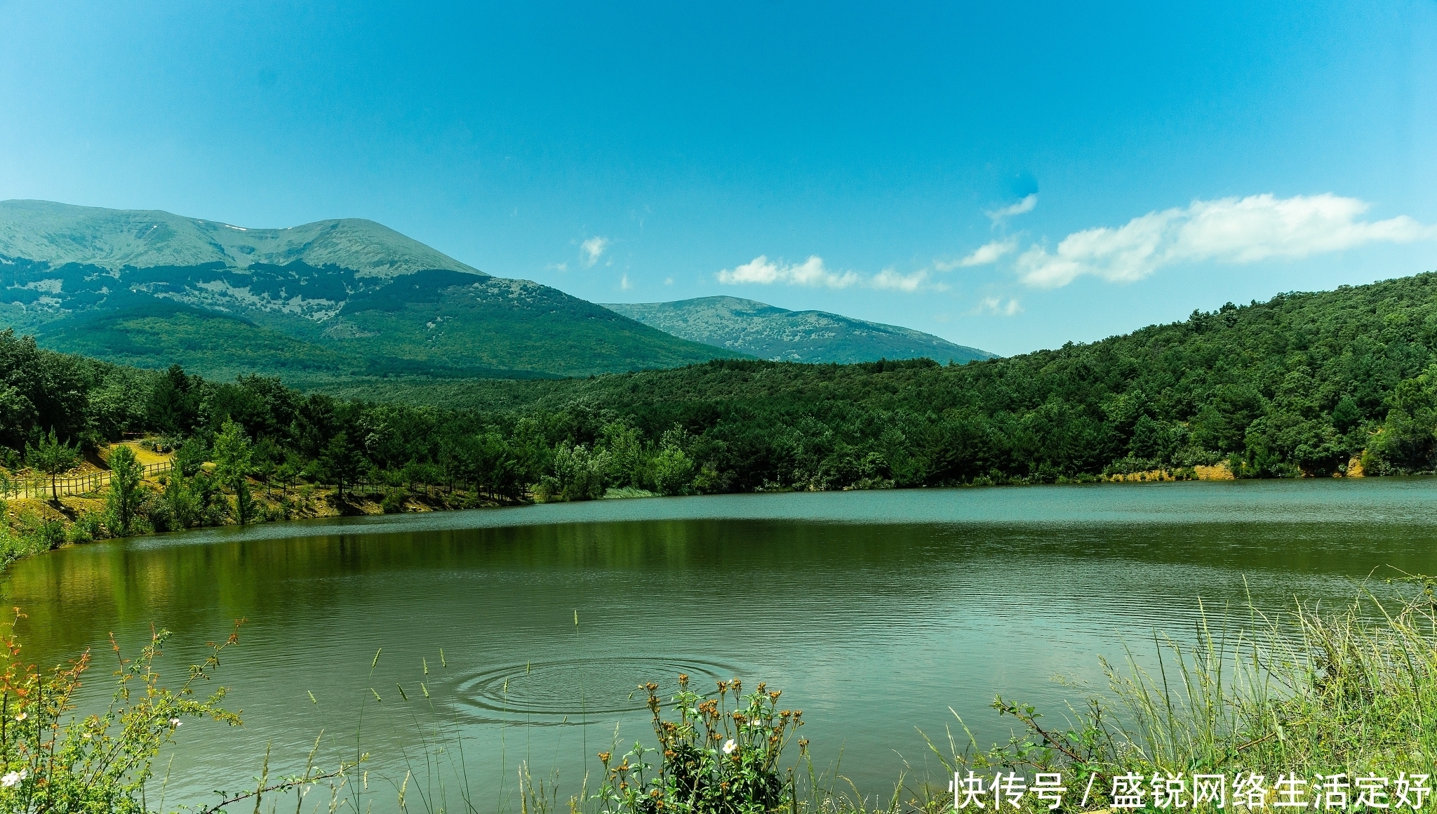 浅水怎么可以钓到大鱼呢