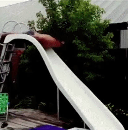 |搞笑GIF趣图:过目不忘,对了,我们的wifi就是她发明的