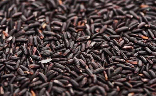 长寿|会吃米的人更长寿提醒多吃这6种米健脾养胃,还能活血化瘀