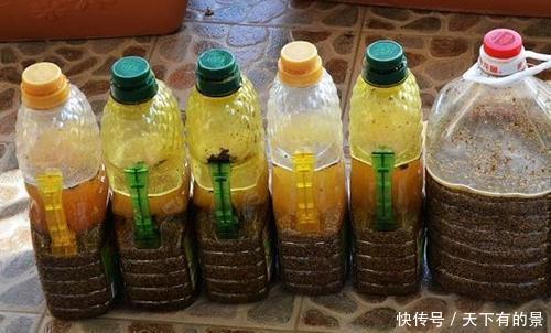 张大爷养花,用“2种水”轮流浇,没想到,1年养出漂亮“小花园”