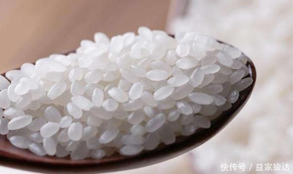 买大米时,该买圆粒米还是长粒米?许多人不明白,原来差别这么大