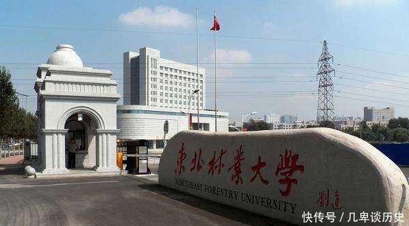 这些大学都是211重点大学，综合实力强大，录取分数却很低，适合捡漏