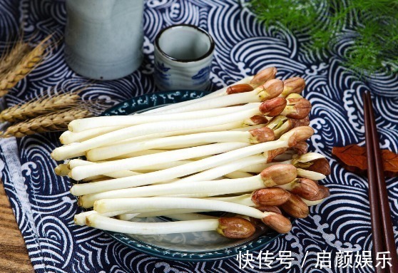 营养成分|食物发芽后有剧毒不能吃有些不仅能吃,营养价值还会变高