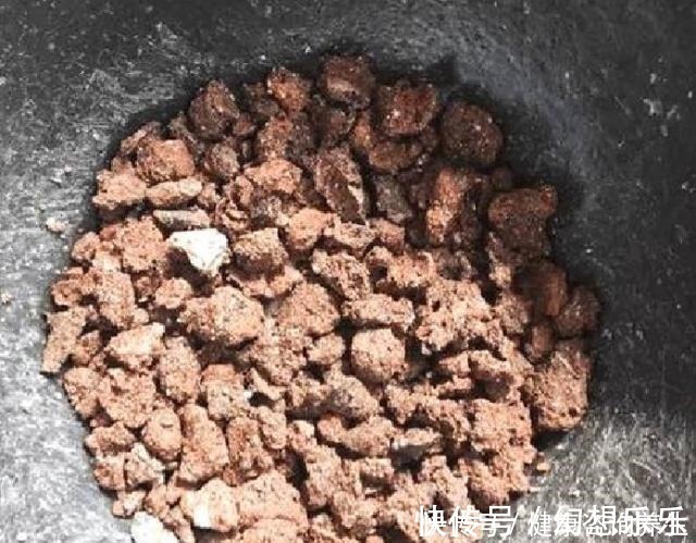 肉肉|多肉上盆，2种东西垫盆底，不烂根不黑腐，安全零成本！