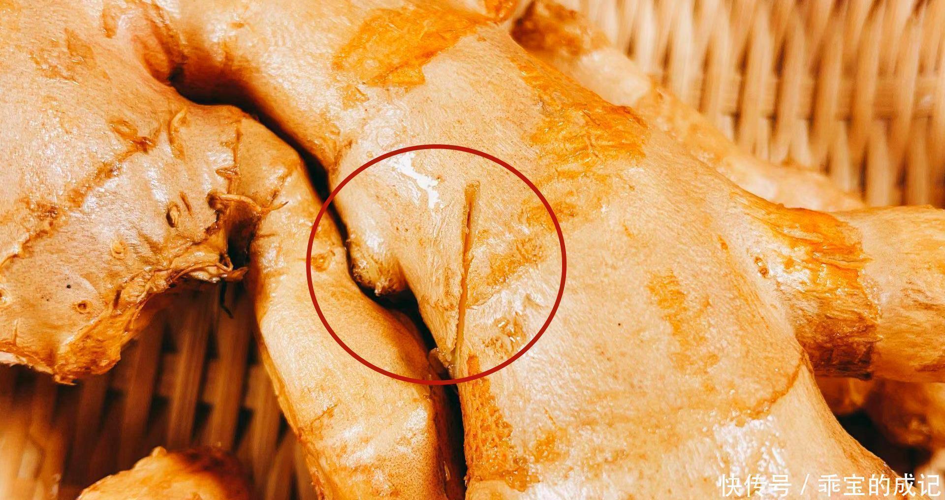 今天才晓得,此3种生姜不能买!菜贩从不给家人吃,却有人经常买