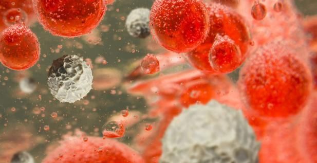 肿瘤细胞|此食物是专家眼中“长寿”菜,排毒、降低血糖,但大多数人不知!