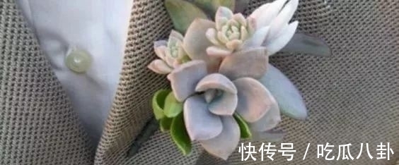 耳环 不是所有首饰都是珠宝的,多肉做成首饰,颜值完全秒杀大牌首饰!