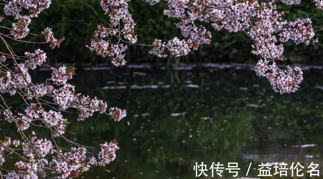 游园不值#叶绍翁这首经典的七绝《烟村》,也是一首难得的佳作,写得很唯美