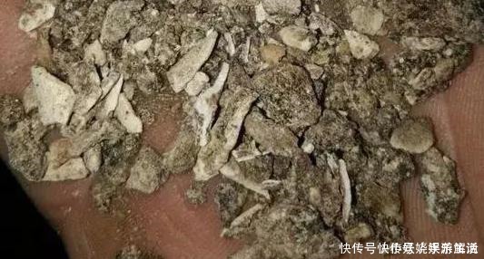 花卉|养花需“氮磷钾肥”怎么办别再花钱买了,上厨房找找全都有了!