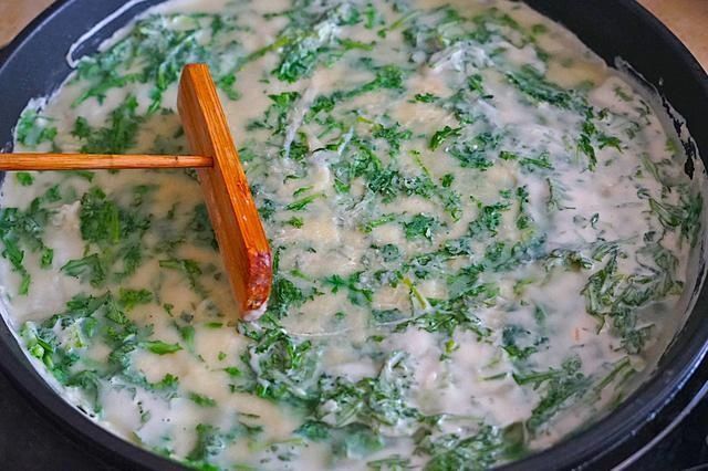 入秋后，多给家人用这菜做早餐饼，味道清香又营养，10分钟全搞定