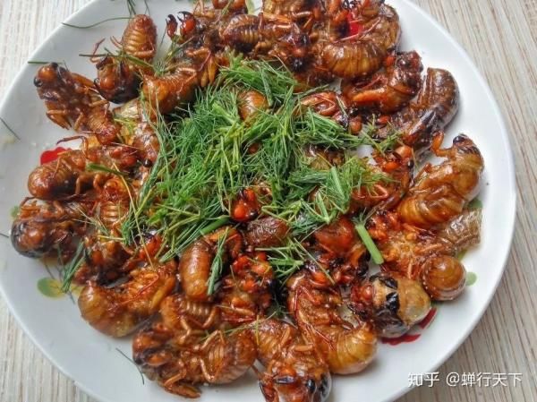 特产|室友给你带过什么“绝交特产”?