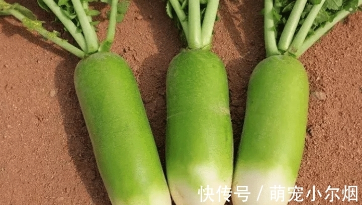 萝卜|天冷了,红薯南瓜靠边站,多给家人吃它,营养极高,别不懂吃