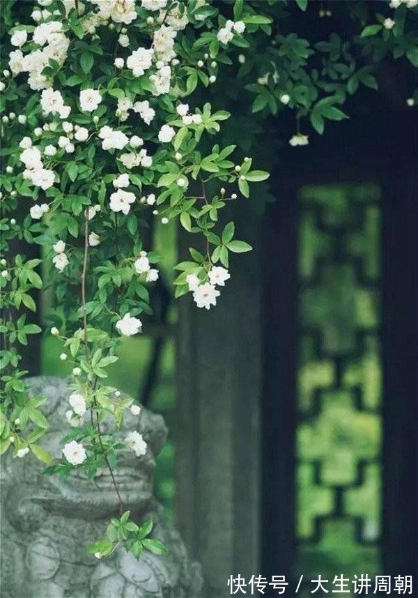 回家过年&花有信,等风来……一支笔写出花开花落、百味杂陈的人生