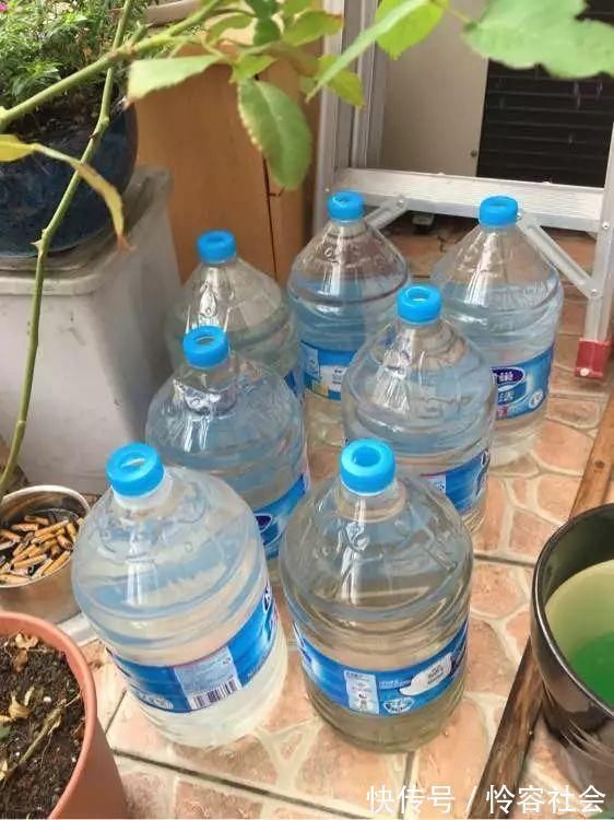 养花有这“3个坏习惯”,花盆里面会起“碱”,用4个方法解决