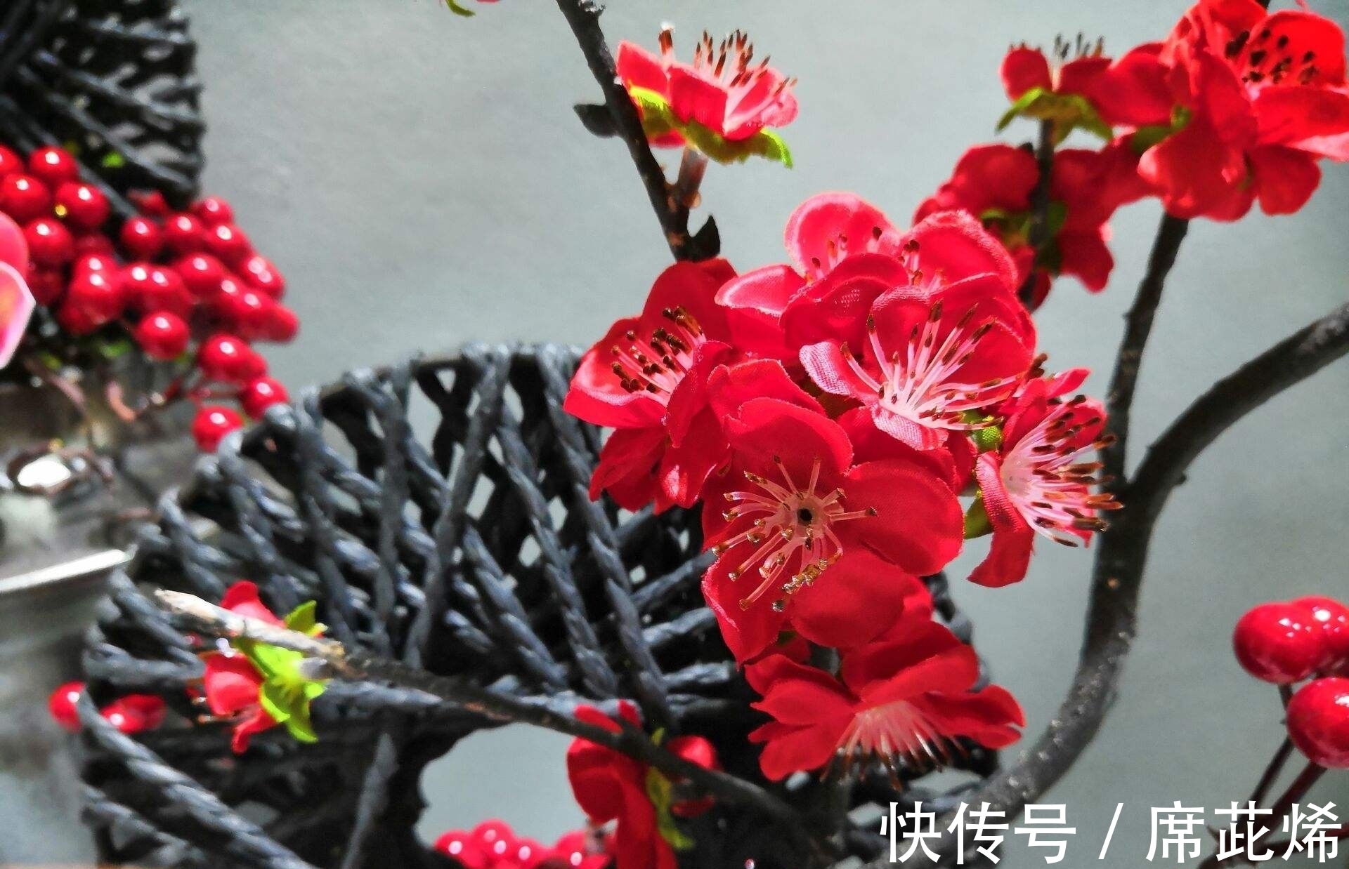 冷蕊@品性孤高自带香,小院深处占年芳《咏梅》七律诗五首(附诗评)