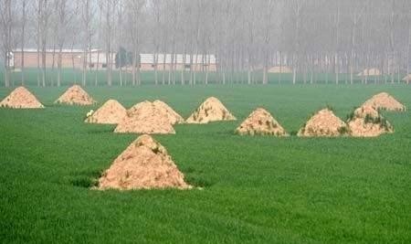 墓地|人死后为何要在墓地多出一块坟头，原来还有这样的作用