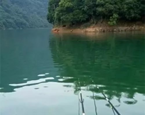 冬季鲫鱼吃口轻难钓,学会这三招野钓轻松应对轻口鲫鱼