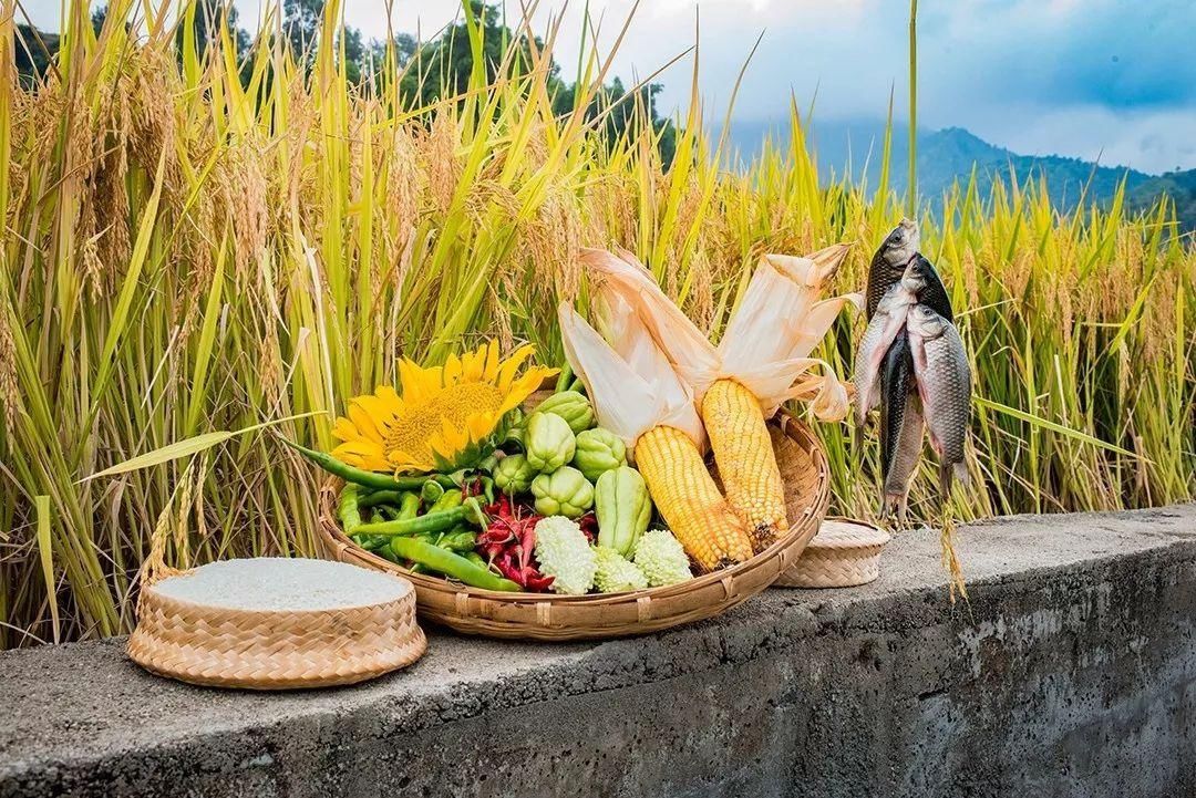 有山有水享清凉，打卡这些夏日好去处|清凉一夏·遇见星空 | 夏日