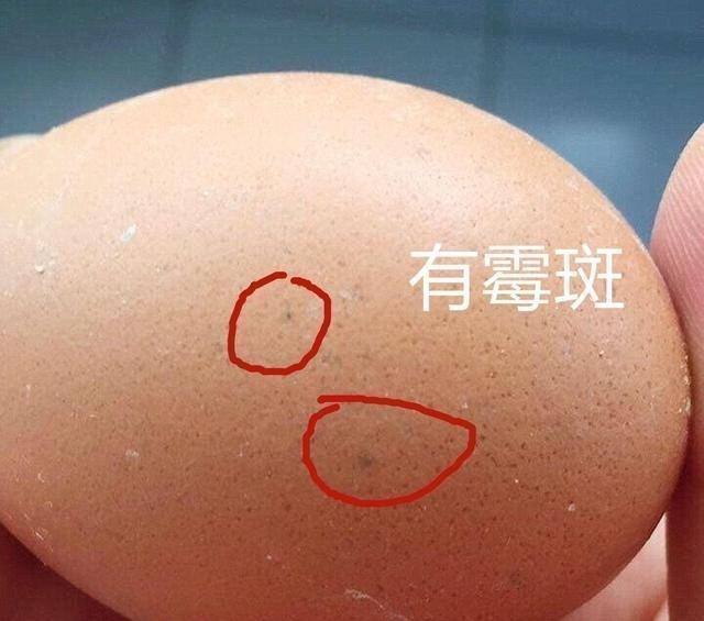 鸡蛋|建议大伙:若是经济允许,给厨房添置3样小东西,能省不少家务活