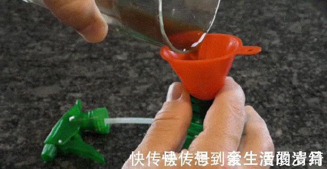 家政阿姨|擦玻璃,不要用洗涤剂,家政阿姨教我一招,干净透明不落灰