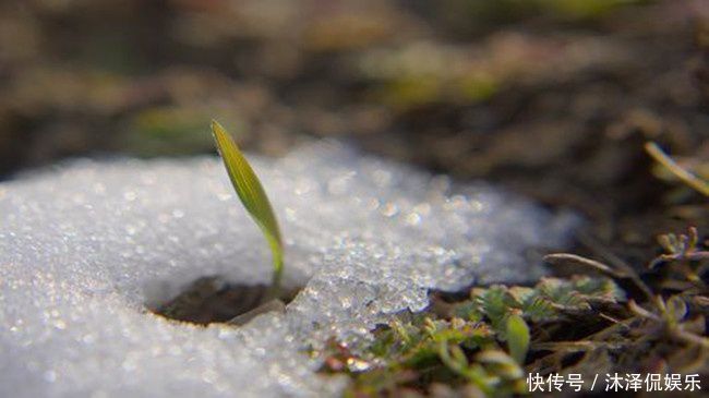 这3物可“激活”雄性激素,连用7天,50岁也可壮如牛