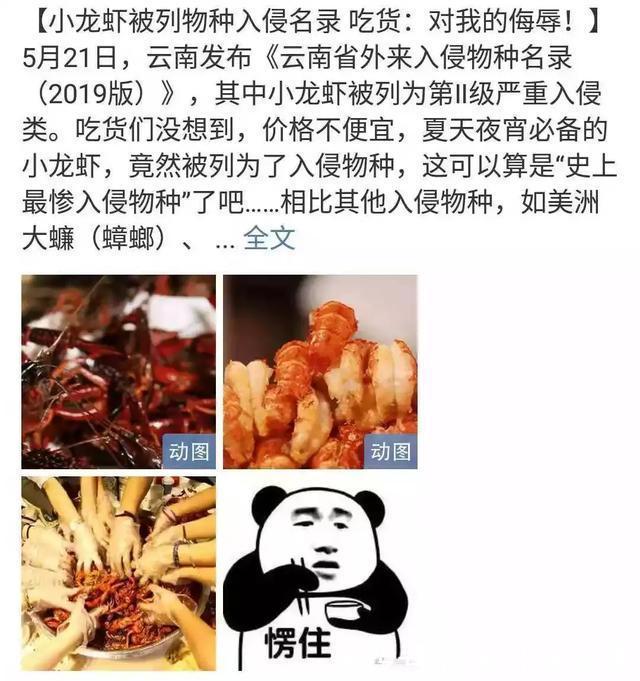 搭配|这碗面才是夏季专属!搭配肉嫩多汁的它,连吃三碗都不过瘾