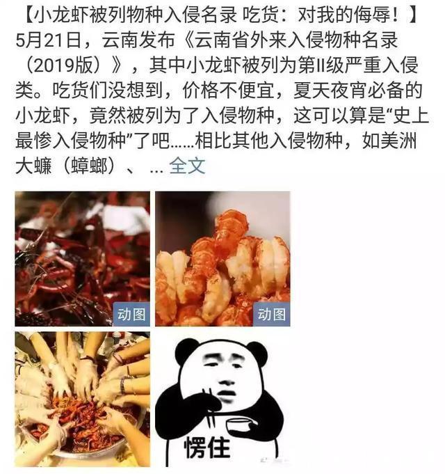  搭配|这碗面才是夏季专属！搭配肉嫩多汁的它，连吃三碗都不过瘾