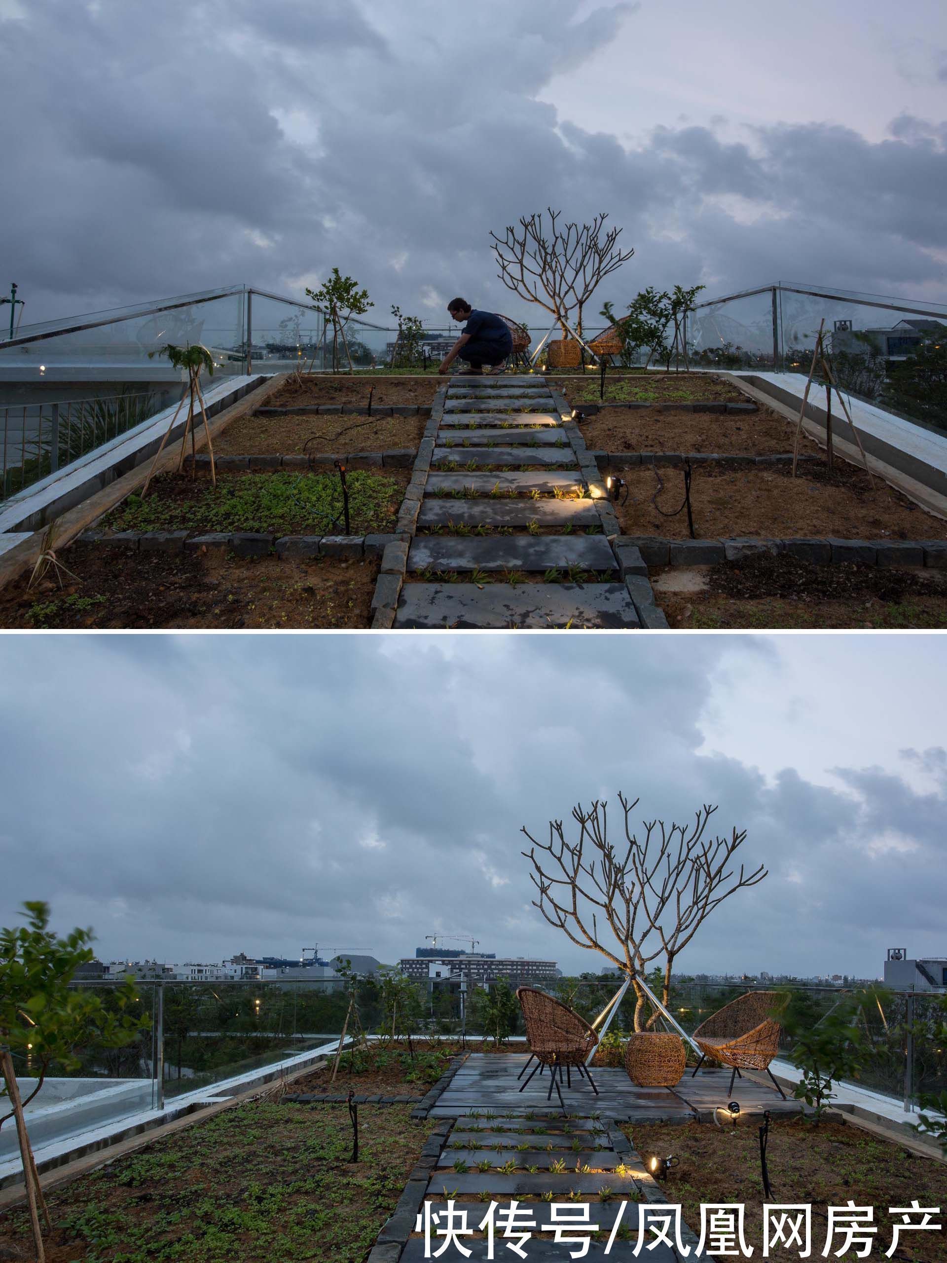 楼梯|这对夫妻把屋顶改造成菜园，瓜果蔬菜都吃不完，屋内还能冬暖夏凉