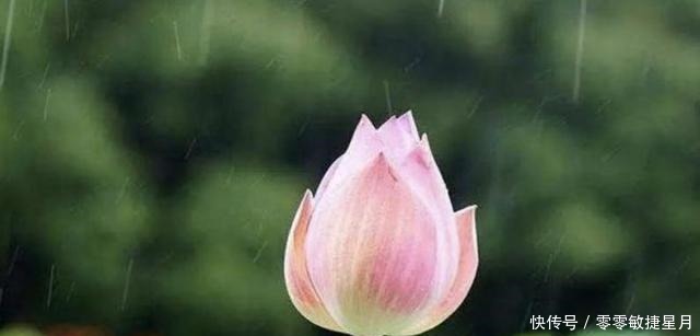 花豆|入夏后湿气重,牢记“多吃3豆2米,忌食2样”,精神饱满过夏天!