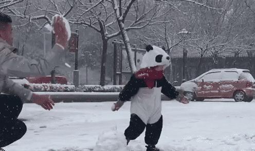 “最较真”奶爸带娃,打雪仗竟不让儿子,网友:搓衣板已备好!