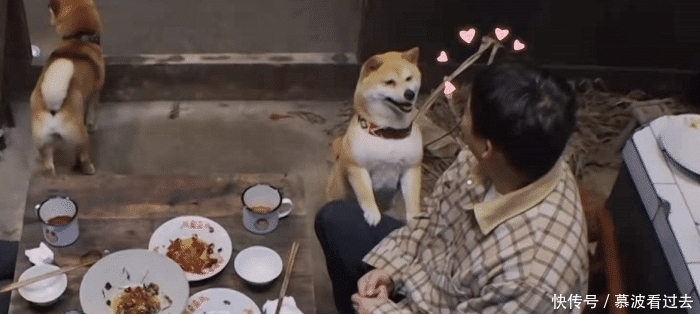 《向往5》迎來第一批飛行嘉賓,全是黃磊的搭檔,熟悉味道回來了