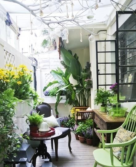 阳台上|3步打造“阳台花园”，只要有阳台，就可以打造漂亮的阳台小花园