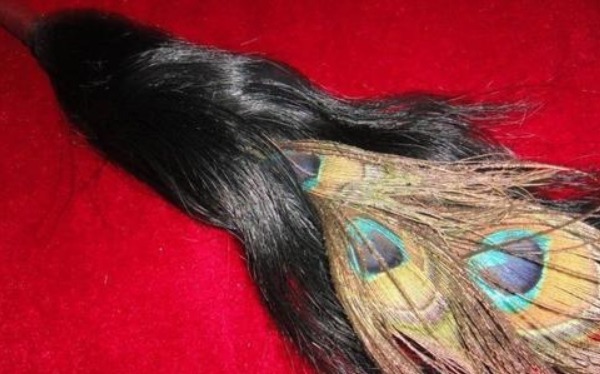 资格|李鸿章的三眼花翎有多贵重?整个清朝就7人获得,连和珅都没有