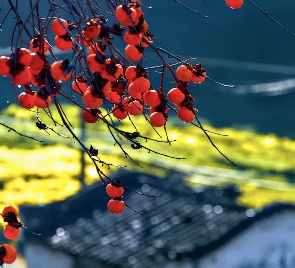 杜甫&诗词丨史上最全“秋”字飞花令,句句经典,值得永久收藏