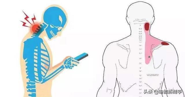 关节|做不到这3个动作，说明你的肩膀可能已经70岁了