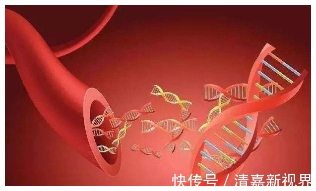 维生素e|雌激素“旺盛”的女人,一般有这5个表现,对照一下你占了几个