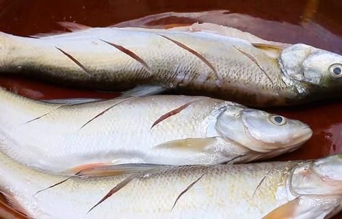 煎鱼|在家煎鱼不是粘锅就是破皮?40年老保姆教你2招,简单又实用