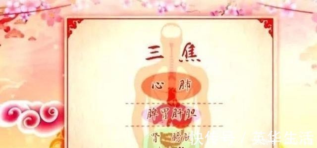 脾胃|冬季手脚冰凉、上热下寒、特别怕冷那是你的阳气跑错地方了!