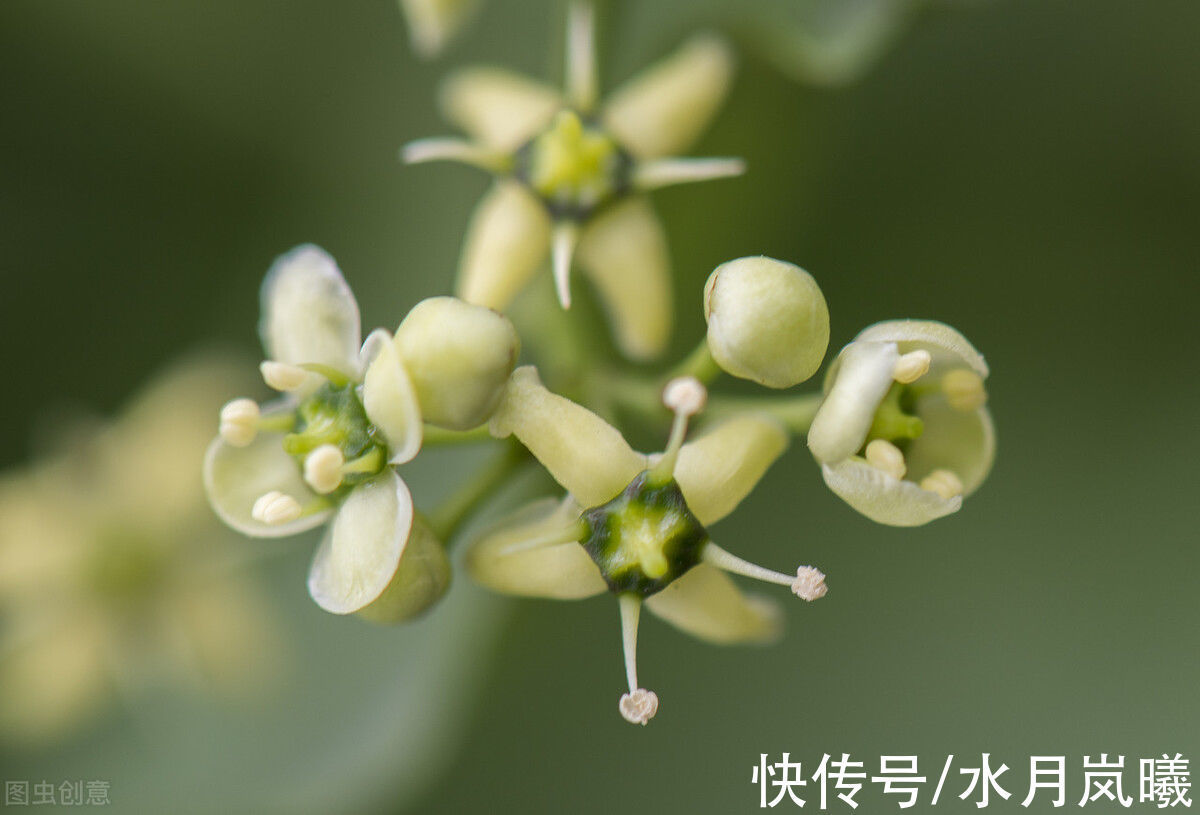 人间草木@愿有一人,待你如初,疼你入骨,懂你悲欢,知你冷暖