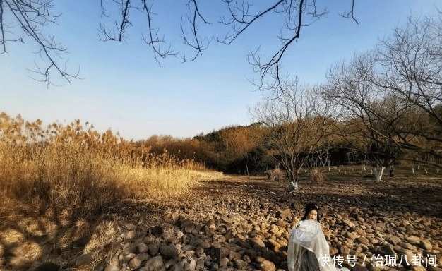 楠溪江|五大杭州冬雨后的精致景点，各个争奇斗艳，赏心悦目中引人从众！