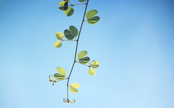 晴风|你以为的养生,其实是假的,真正的养生只有两个字