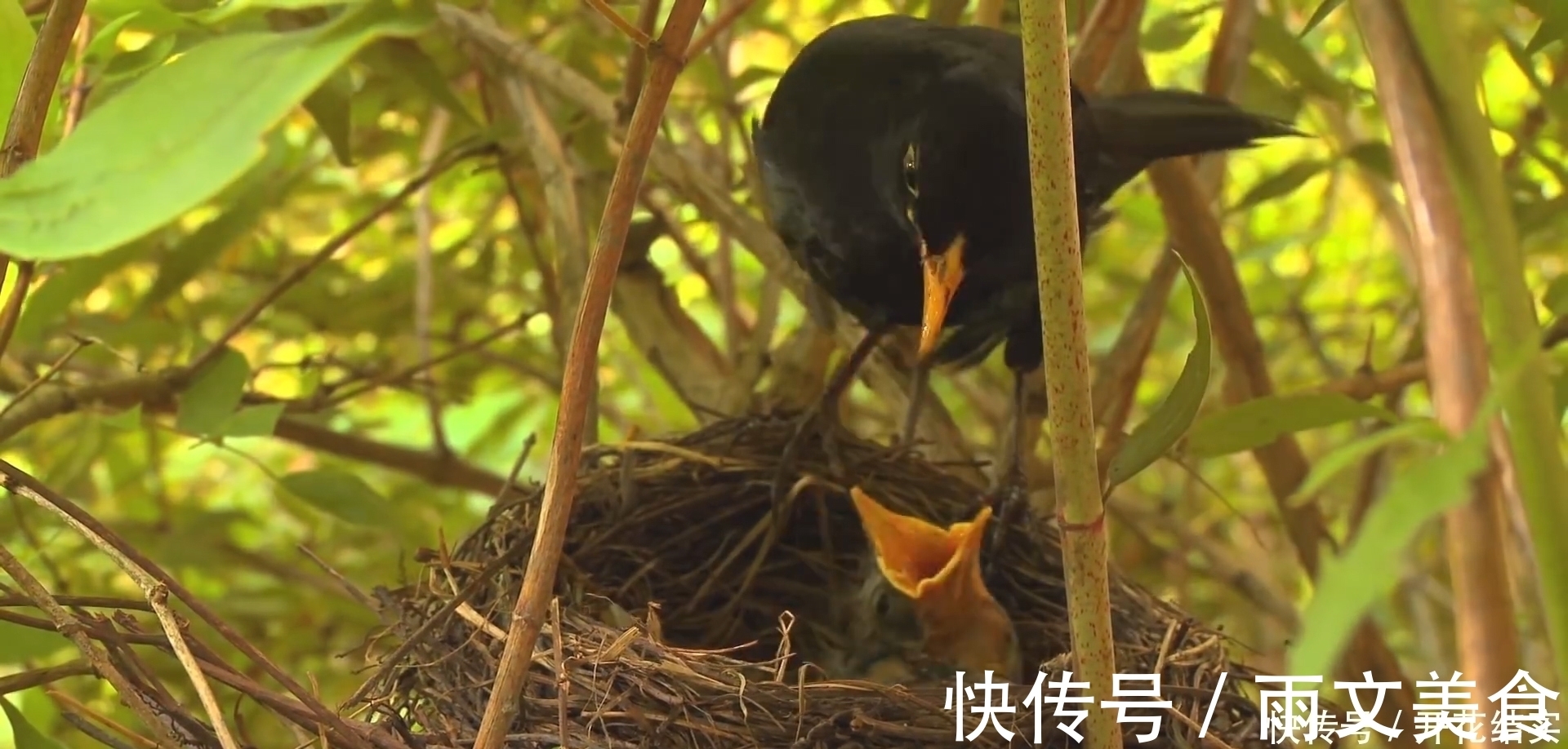 命运|这几月的人，一出生就决定了财富的命运，财福双全