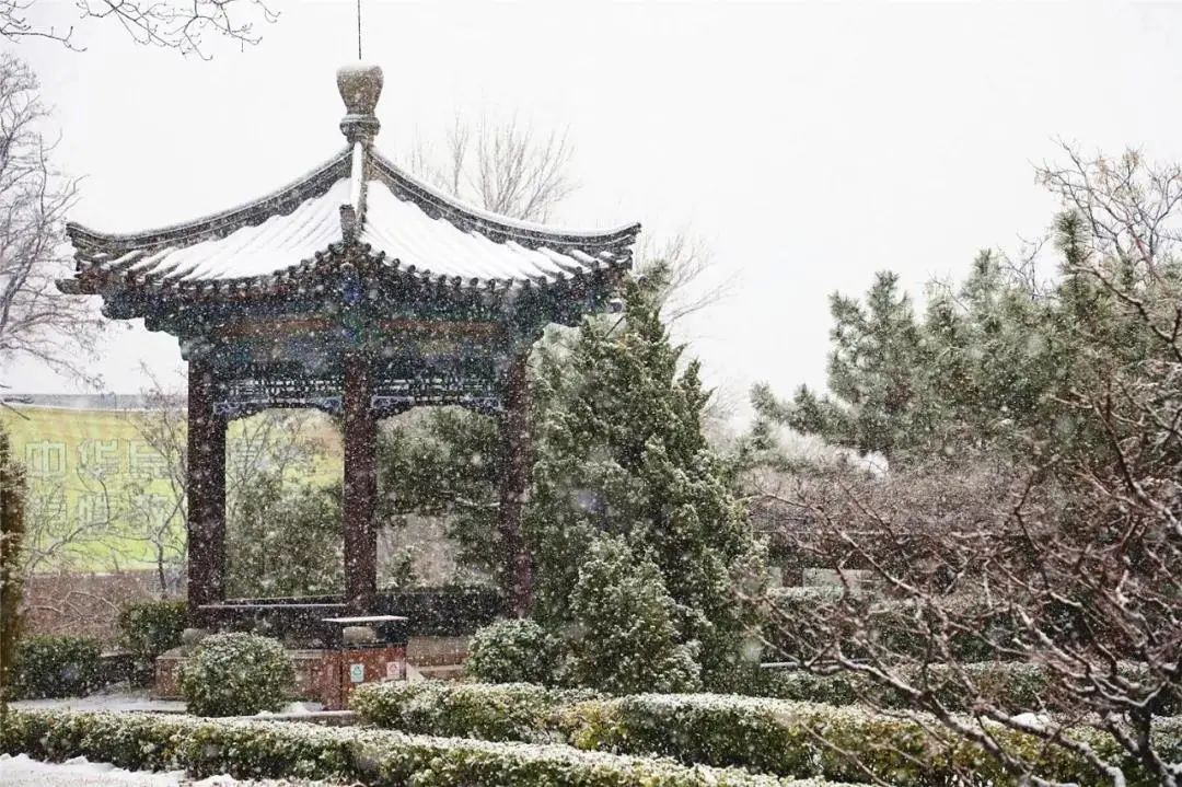 期待|期待一场大雪 邂逅最美山“冬”