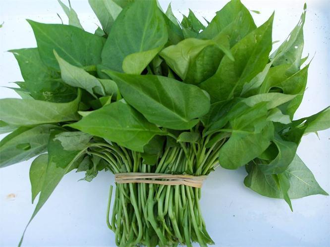 降血压|想养生得会吃，3种蔬菜每天吃点，清热解毒，润肠通便，降血压