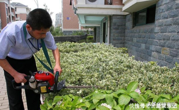 楼盘|高层别墅混合小区千万不要买?内行指出“硬伤”,别等入住再后悔