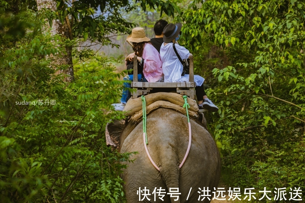 野生动物|尼泊尔最冒险的世界遗产奇特旺国家公园，村民与猛兽相伴