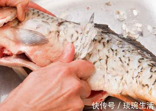 鱼肉|不管炖什么鱼,去腥别只会放料酒,多放这2样,鱼肉鲜香没腥味