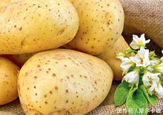 爱美女性的福音,推荐3种食物,排毒抗衰,润肤美容,营养又瘦身